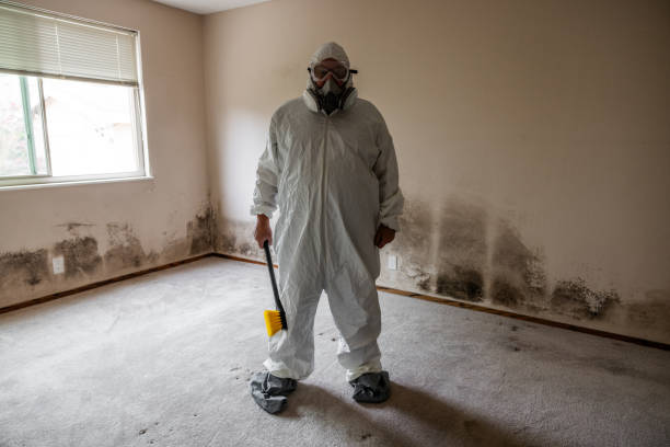 Best Crawl Space Mold Removal  in Findlay, OH